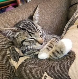 Meet your Posher, Felicha